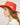 #colour_red