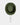 #colour_dark-pine