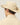 #colour_safari-tan