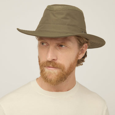 #colour_forest-night