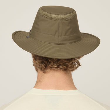 #colour_forest-night