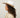 #colour_white-dark-tan
