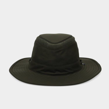 #colour_forest-night