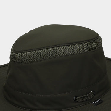 #colour_forest-night