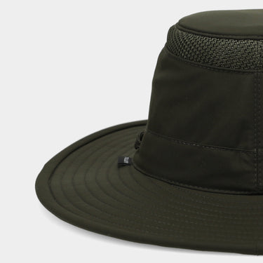 #colour_forest-night