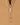 #colour_pecan-brown