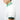#colour_white-sport-green