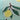 #colour_green-lemons