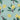 #colour_green-lemons