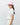 #colour_white-perfect-pink