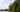 green-trees-line-the-water-on-clear-day