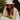 navbar-picture-with-overlay