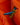 #colour_camel-orange